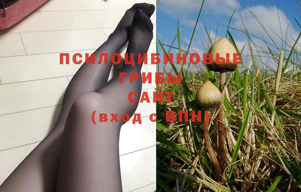 ECSTASY Аркадак
