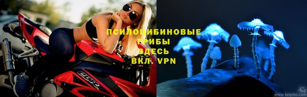 шишки Арсеньев