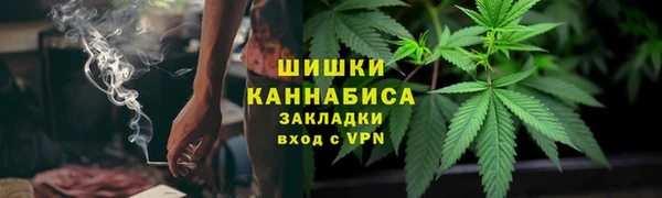 шишки Арсеньев