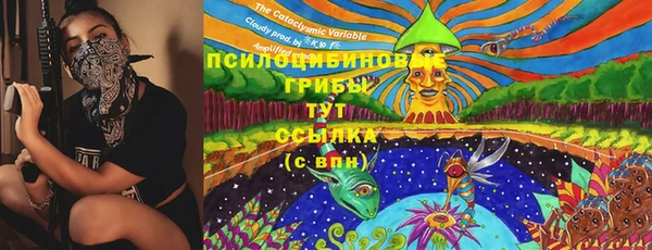 шишки Арсеньев