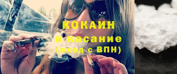 шишки Арсеньев