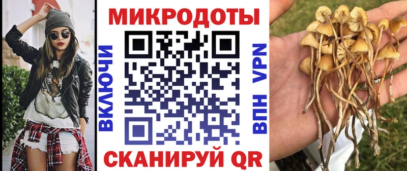 Псилоцибиновые грибы мицелий  дарк нет клад  Сергач 